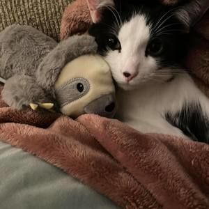 Meet your Posher, Sarah